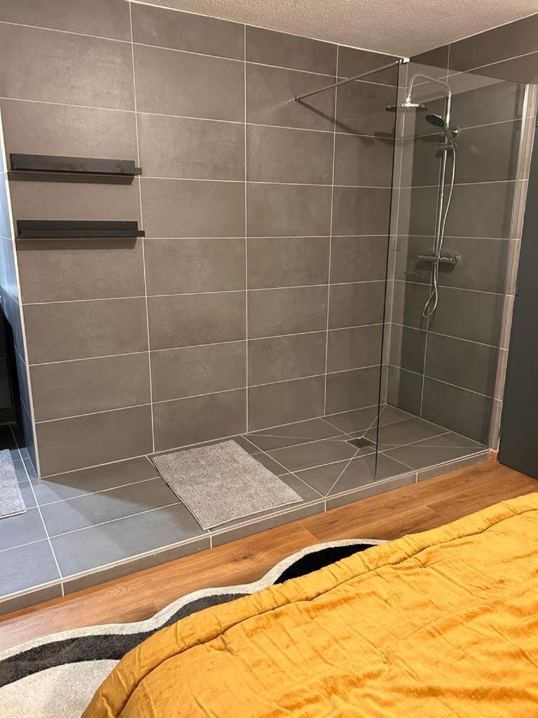 Appartement Elegant F2 Luxueux Proche Suisse à Delle Extérieur photo