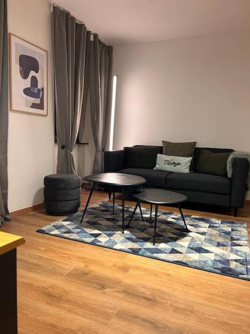 Appartement Elegant F2 Luxueux Proche Suisse à Delle Extérieur photo